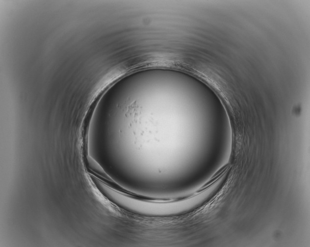 X0000096171042200801251146