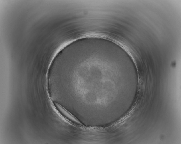 X0000096171045200801251146