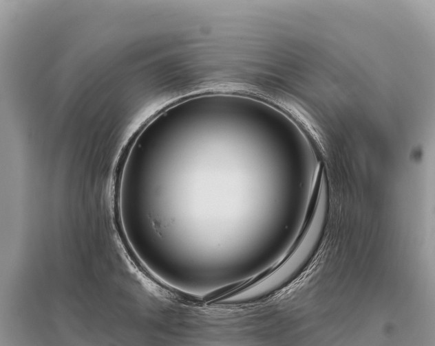 X0000096171046200801251146