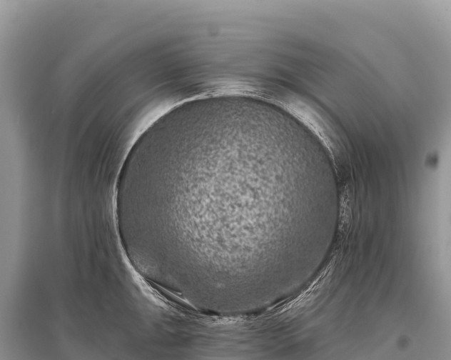 X0000096171047200801251146