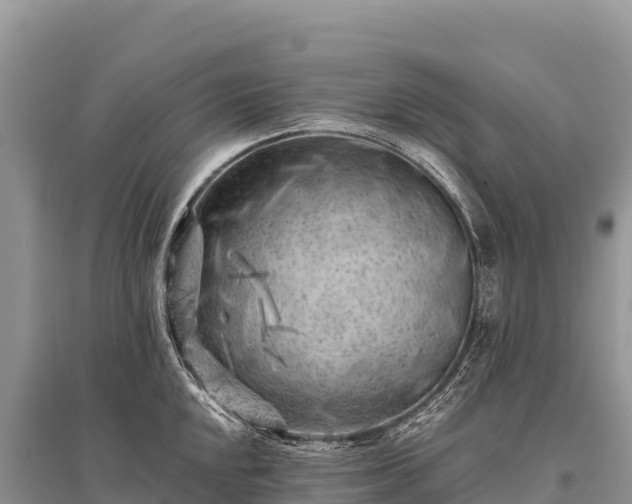 X0000096171048200801251146