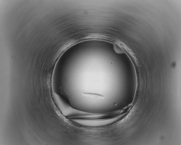 X0000096171049200801251146