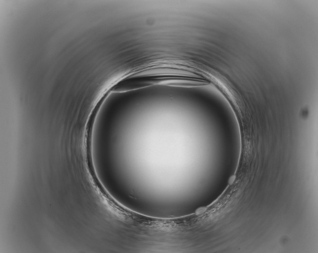 X0000096171050200801251146