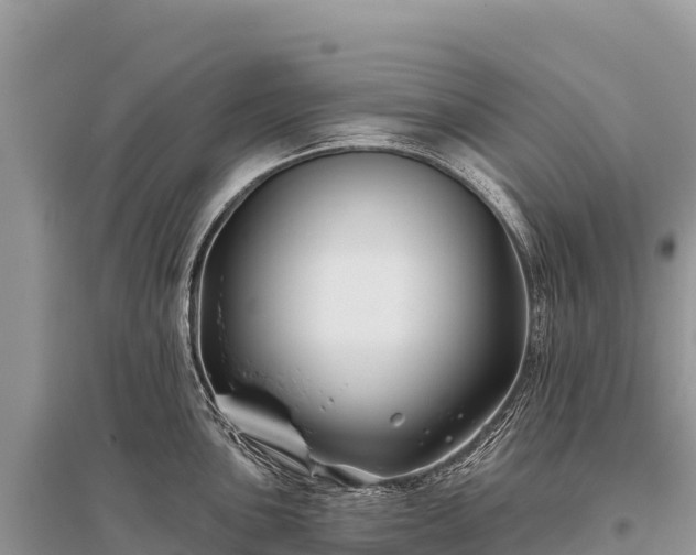 X0000096171051200801251146