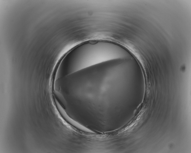 X0000096171053200801251146