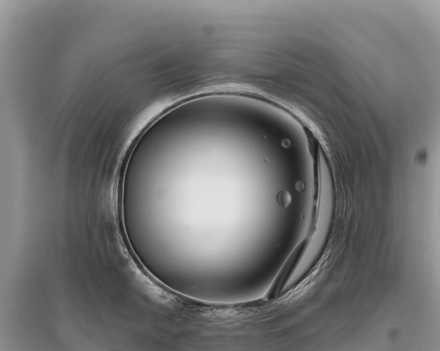 X0000096171054200801251146