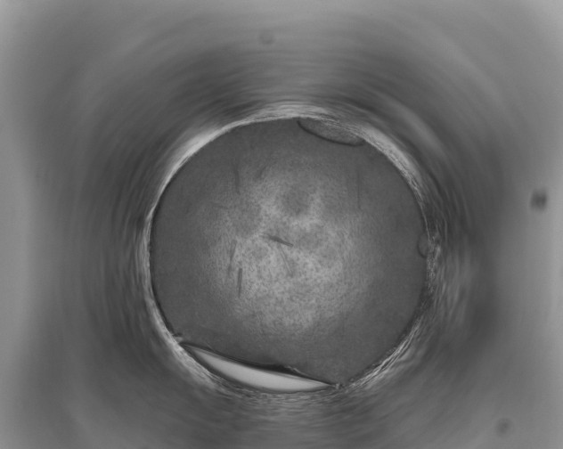 X0000096171055200801251146