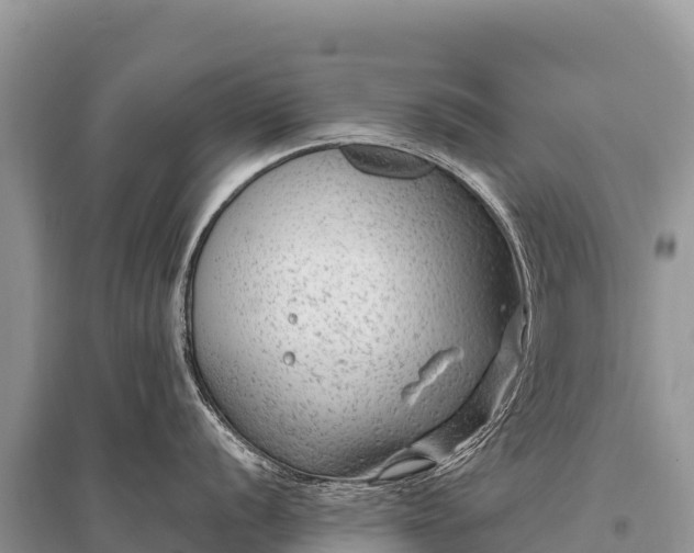 X0000096171056200801251146