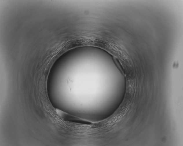 X0000096171057200801251145