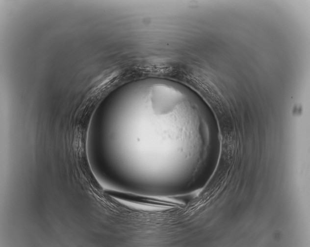 X0000096171058200801251145