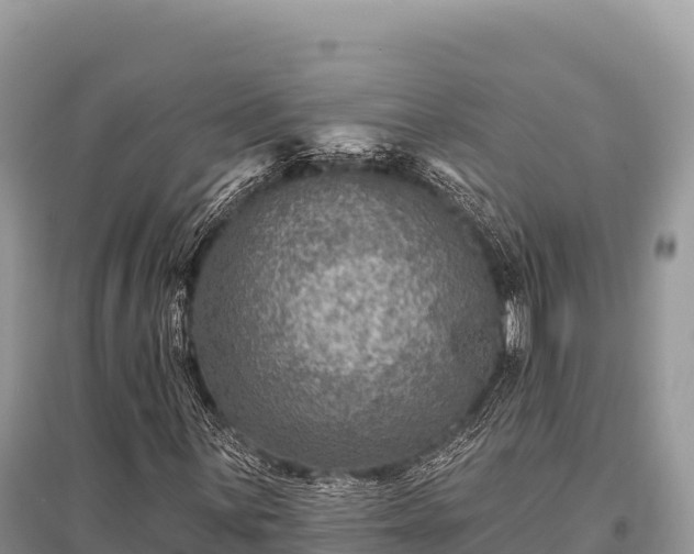 X0000096171059200801251145