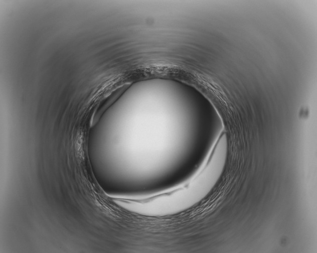 X0000096171060200801251145