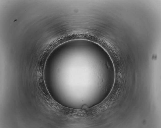 X0000096171062200801251145