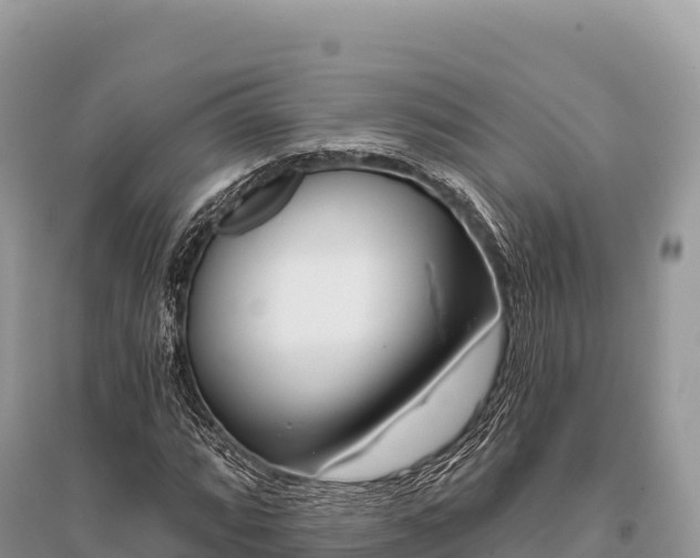 X0000096171064200801251145