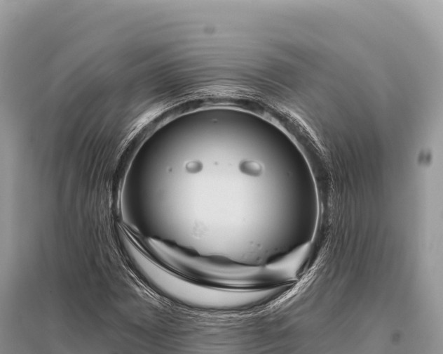 X0000096171065200801251145