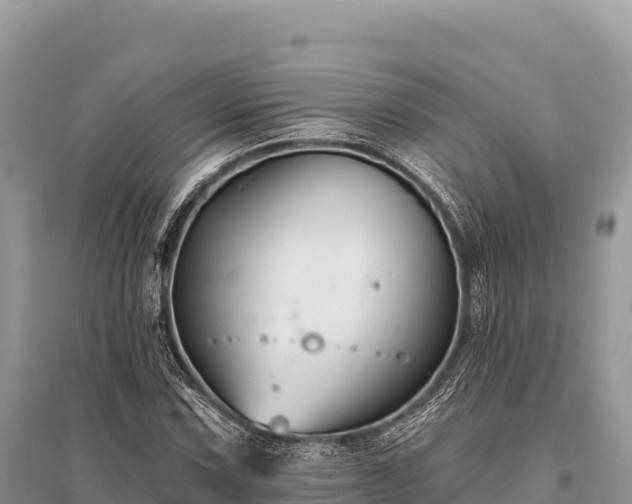 X0000096171067200801251145