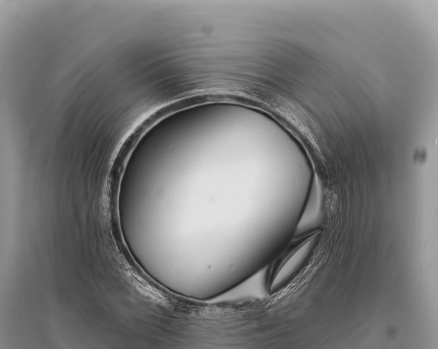 X0000096171068200801251145