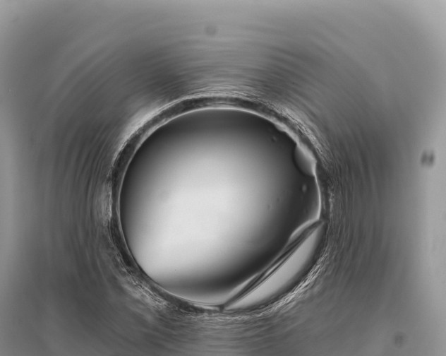 X0000096171069200801251145