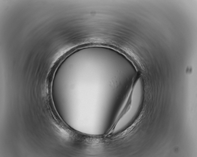 X0000096171070200801251145