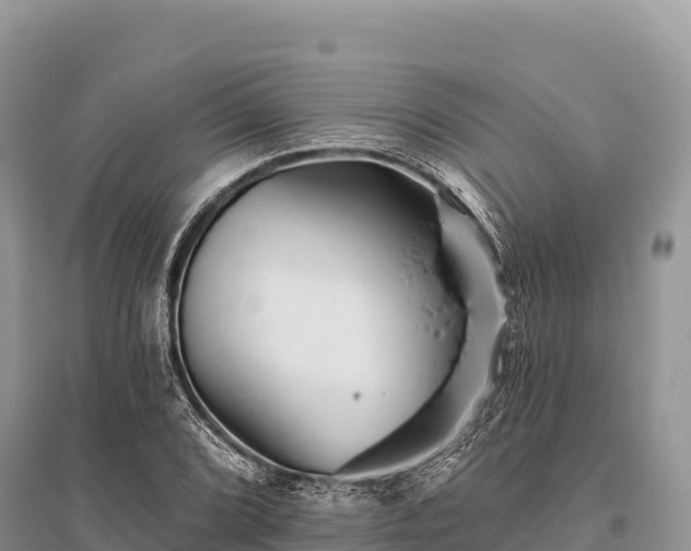 X0000096171072200801251145