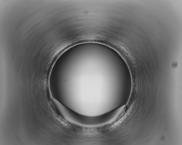 X0000096171073200801251145