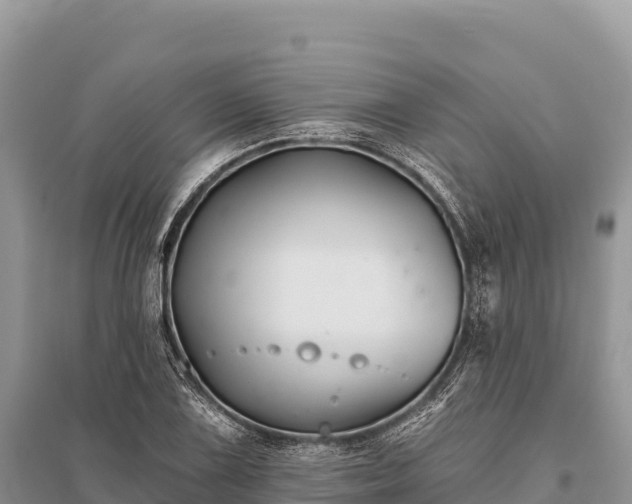 X0000096171075200801251145