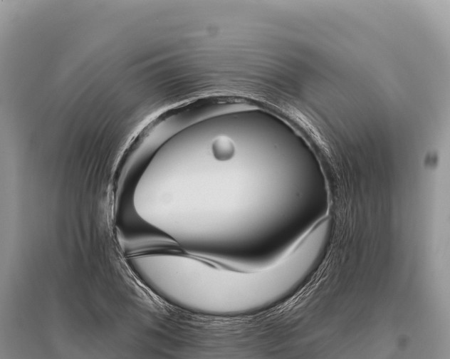 X0000096171076200801251145