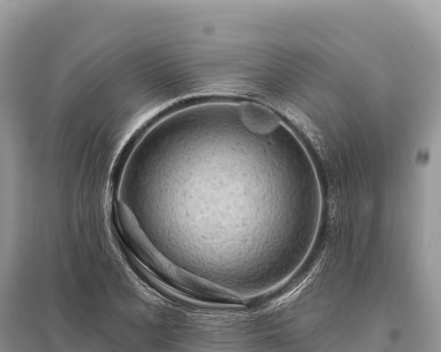 X0000096171077200801251145