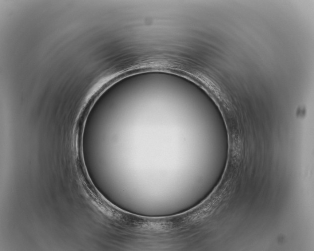 X0000096171078200801251145