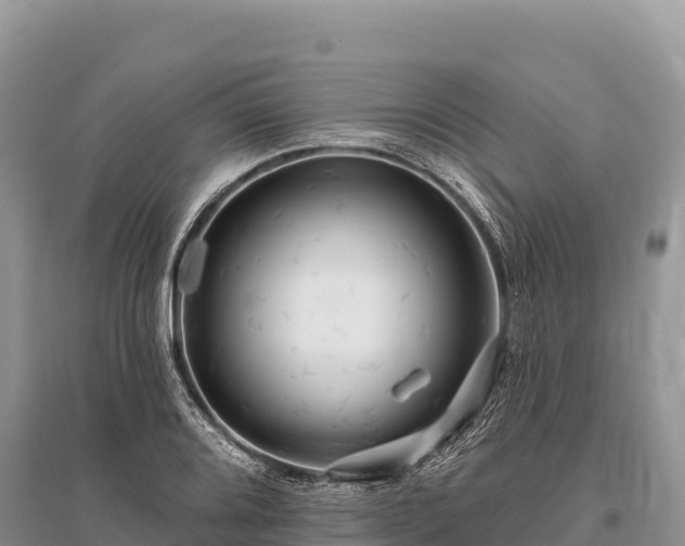 X0000096171080200801251145