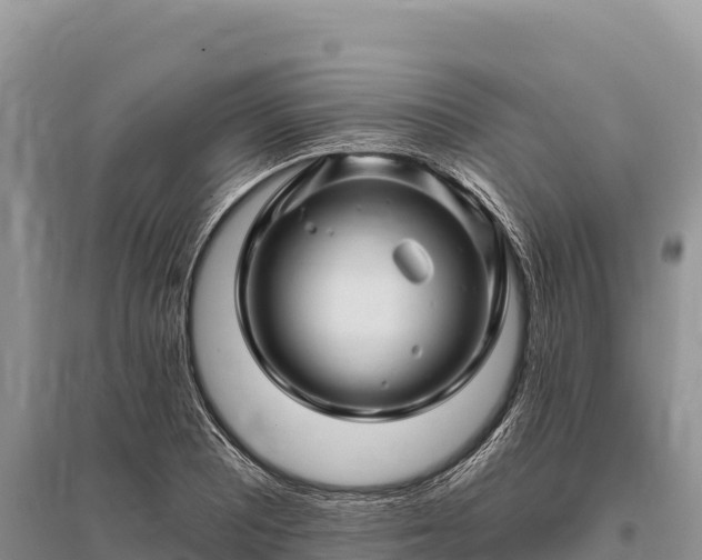 X0000096171081200801251145