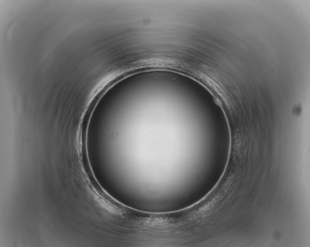 X0000096171082200801251145