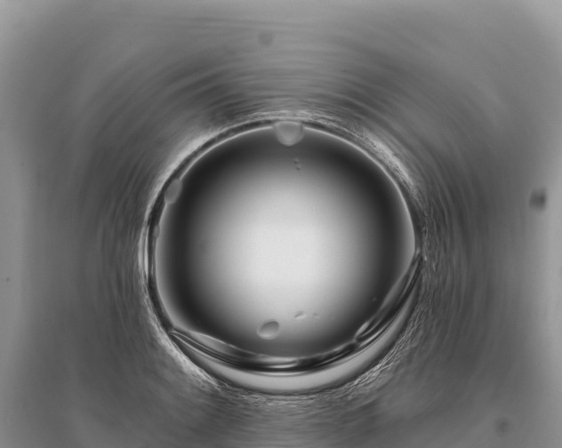 X0000096171084200801251145