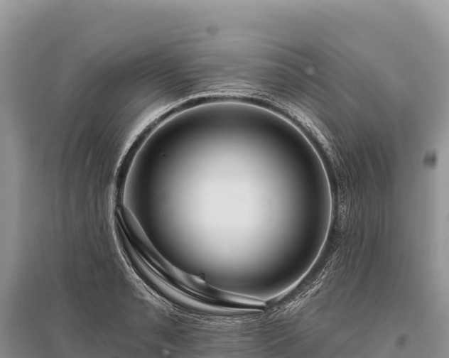 X0000096171085200801251145