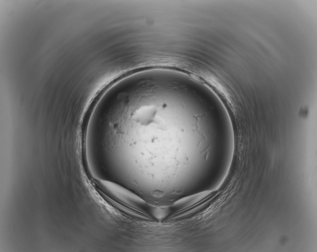 X0000096171088200801251145