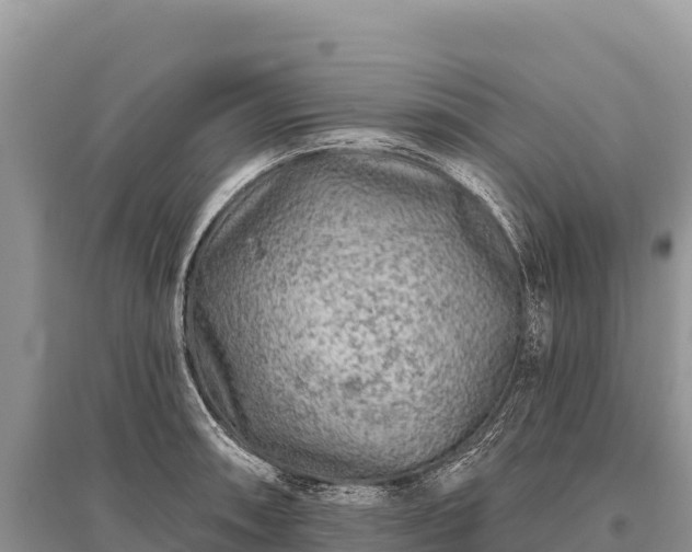 X0000096171090200801251145