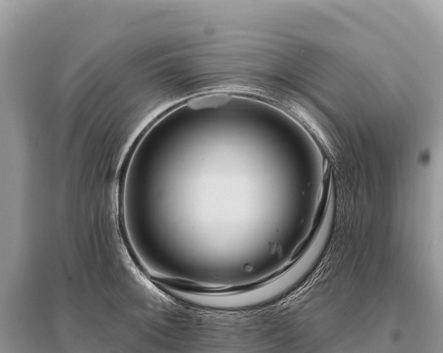 X0000096171092200801251145