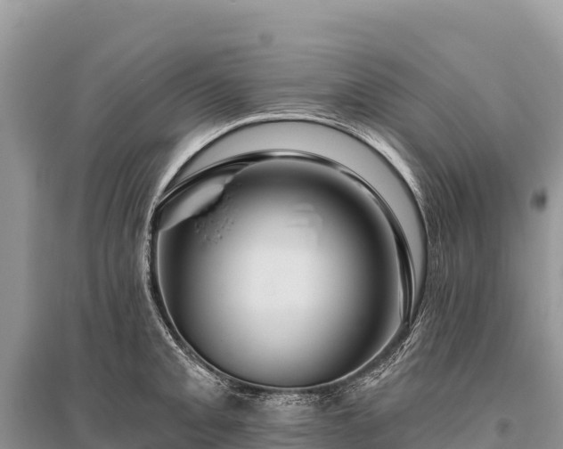 X0000096171093200801251145