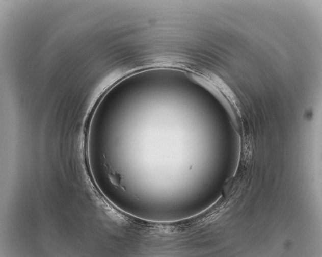 X0000096171096200801251145