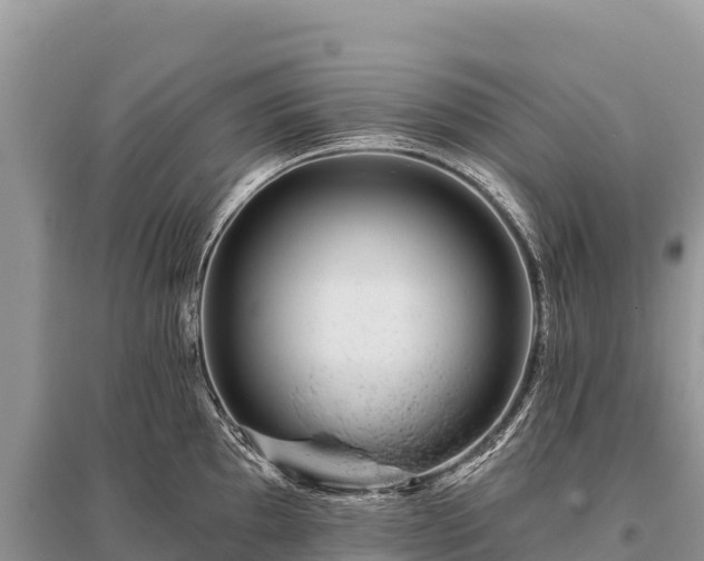 X0000096171097200801251145