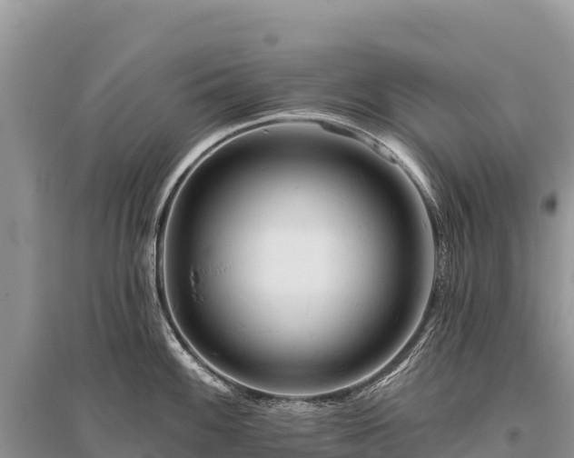 X0000096171100200801251145