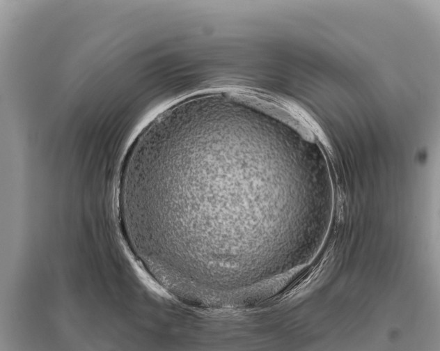 X0000096171101200801251145