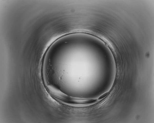 X0000096171102200801251145