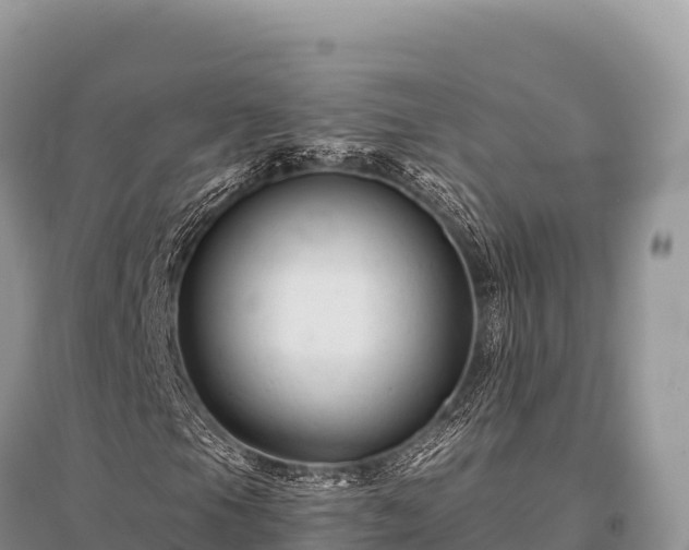 X0000096171105200801251144