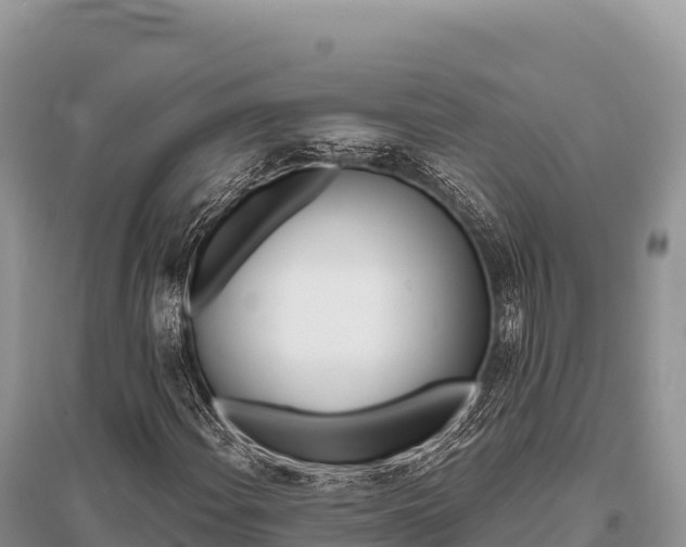 X0000096171108200801251144