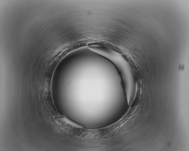 X0000096171110200801251144