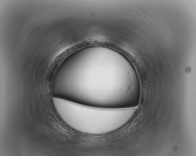 X0000096171112200801251144