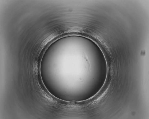 X0000096171113200801251144