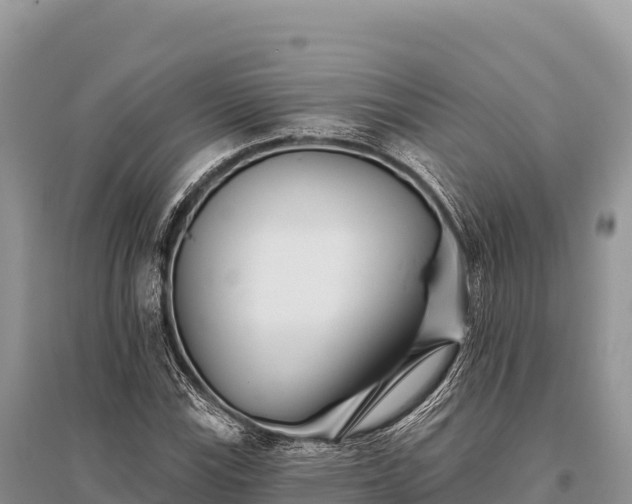 X0000096171115200801251144