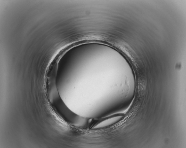 X0000096171116200801251144